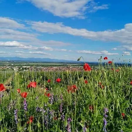 アパート Les De La Poterne ロウファッハ